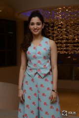 Tamannaah at Bengal Tiger Movie Success Meet